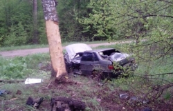 В Максатихинском районе автомобиль врезался в дерево — погиб водитель