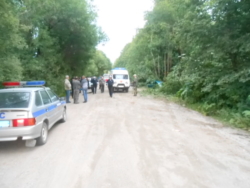 В Тверской области дерево рухнуло на машину, в ДТП погиб молодой пассажир иномарки