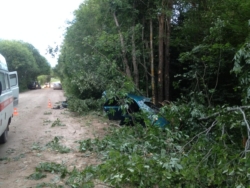 В Тверской области дерево рухнуло на машину, в ДТП погиб молодой пассажир иномарки
