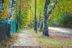 Советская улица посёлка Максатиха